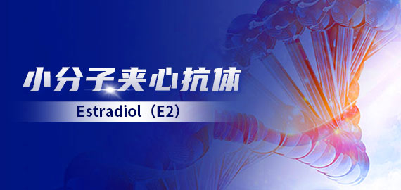 【小分子夾心】雌二醇（E2）夾心抗體在發(fā)光及層析平臺的應(yīng)用